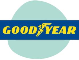 GOODYEAR GY10VC26 - BOLSA ASPIRADOR GOODYEAR
