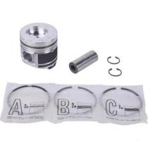 MECANICA 008700606 - PISTON COMPLETO STD. SDF Ø 105 MM