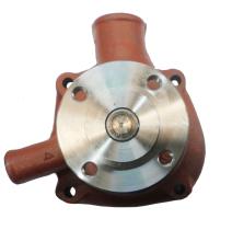 MECANICA 111460 - BOMBA AGUA MWM ( DITTER )