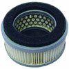 MECANICA 123901 - FILTRO AIRE SHINDAIWA EB 600