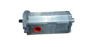 MECANICA 4208881M91 - BOMBA DOBLE OEM LANDINI ALPINE