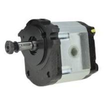 HIDRAULICA 6005030953 - BOMBA HIDRAULICA RENAULT 10 CC