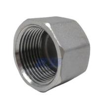 HIDRAULICA 827060 - TAPON HEMBRA 22X150