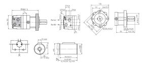 HIDRAULICA HM125C - MOTOR HIDRAULICO OMS 125 CC ( ENTRADAS LATERALES )