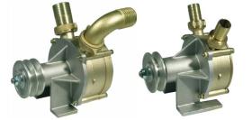 ACCESORIOS 260230 - BOMBA TRASVASE Ø 25 POLEA 1