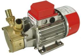 ACCESORIOS 267587 - ELECTROBOMBA 24 V  LATON