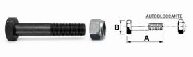 TORNILLERIA 565940 - TORNILLO 10,9  M12X175  A90  B19