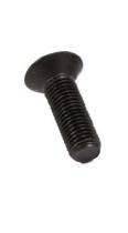 ACCESORIOS 572710 - TORNILLO AVELLANADO Ø14X40
