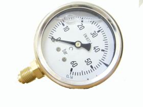PULVERIZACION 267310 - MANOMETRO GLICERINA 400 BAR