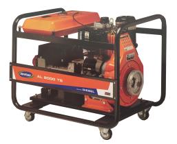 MOTORES LD LDA AL8000M - GENERADOR DIESEL ANTOR 8 KW MONOFASICO 3LD510 A, MANUAL