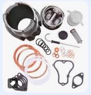 MOTORES LD LDA MKITR2Z - CILINDRO + PISTON + JUNTAS RUGERINI (RF100)