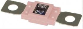 FUSIBLES 369790 - FUSIBLE MEGAVAL 250 AMP. ROSA