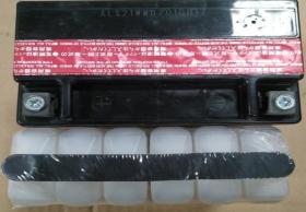 BATERIA DGR365500EP25 - BATERIA DGR5500/7000 AE ( 150X90X140 ALTO )