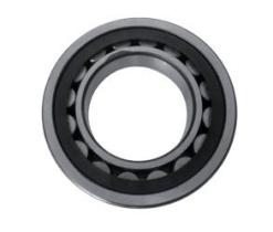 RODAMIENTOS 8646 - RODAMIENTO RODILLOS PASQUALI  (A 17)(Ø62X Ø33)