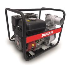 DUCATI DCW802 - MOTOBOMBA DUCATI AGUA LIMPIA 3º 7HP