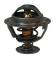 RADIADOR 1447384M1 - TERMOSTATO 82º MFE